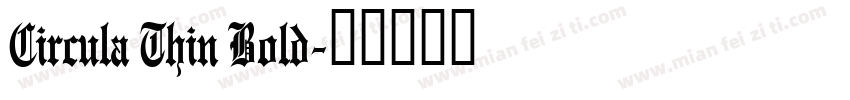 Circula Thin Bold字体转换